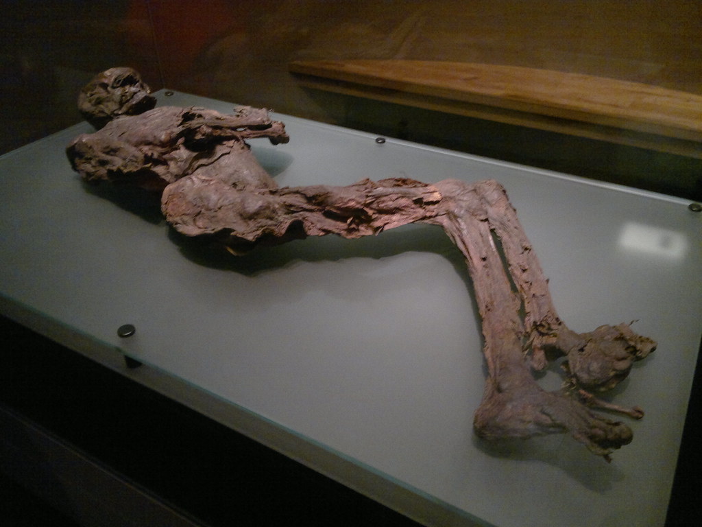 Bog Bodies and Ancient Mysteries (image credits: flickr)