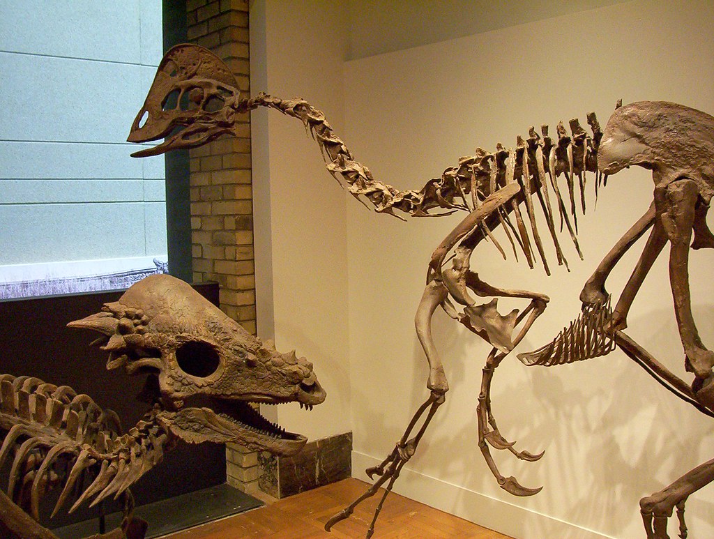 Conclusion (image credits: flickr)