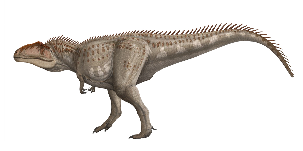 Perfect Climate Conditions Created an Eden for Giants (image credits: By Dmitry Bogdanov, Public domain, https://commons.wikimedia.org/w/index.php?curid=2460137)
