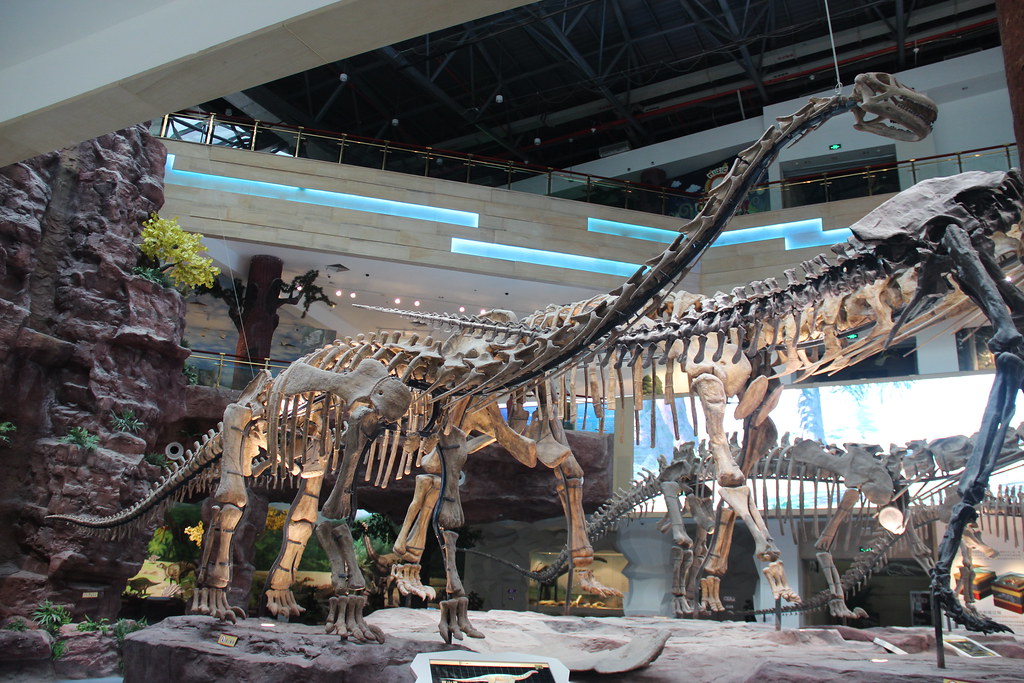 Revolutionary Body Plans Supported Massive Frames (image credits: flickr)