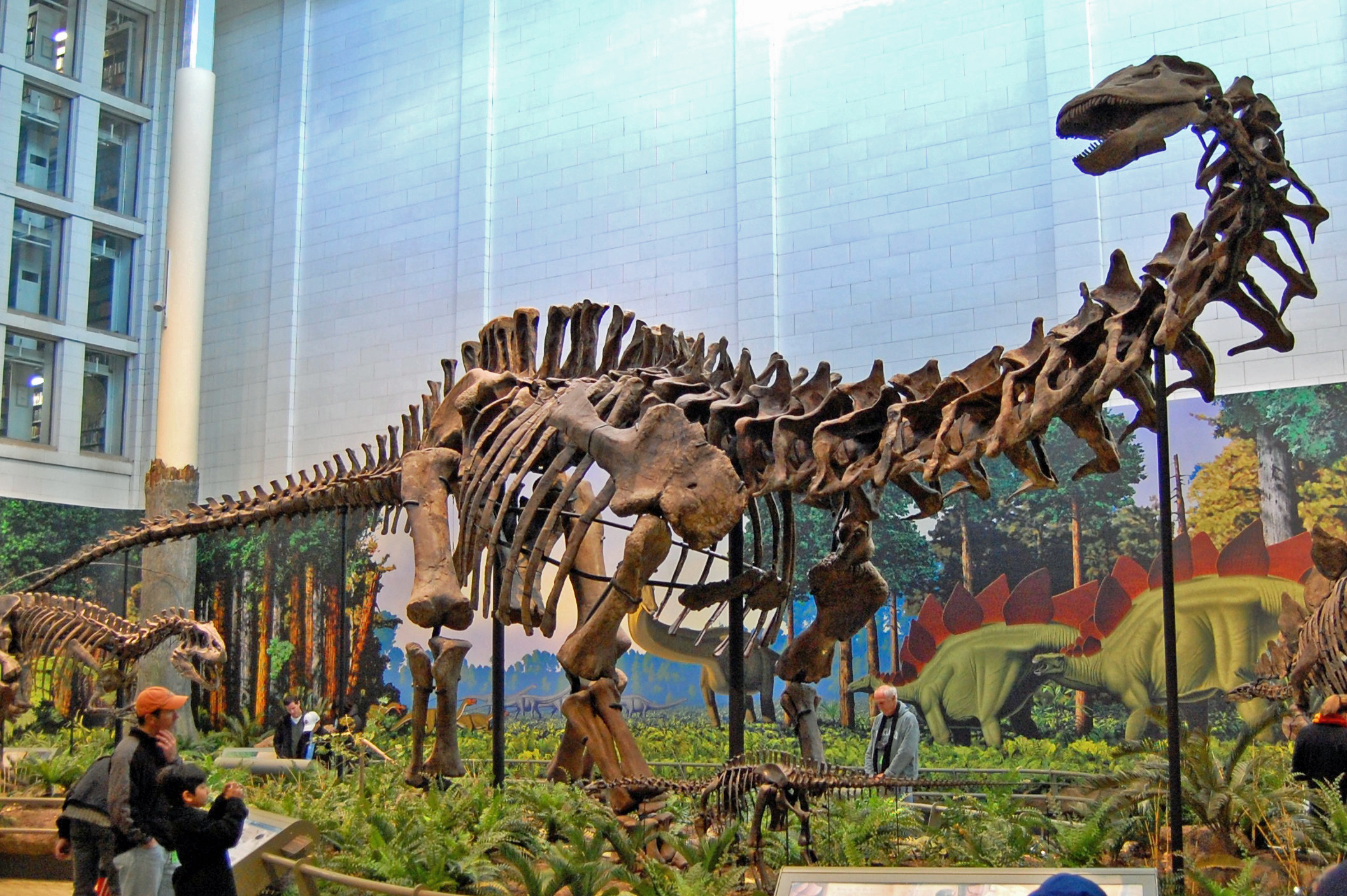 Early Gigantism Trends Started Before True Sauropods (image credits: sauropodUploaded by FunkMonk, CC BY 2.0, https://commons.wikimedia.org/w/index.php?curid=8698637)