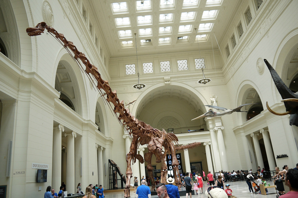 Multiple Lineages Independently Achieved Giant Status (image credits: flickr)