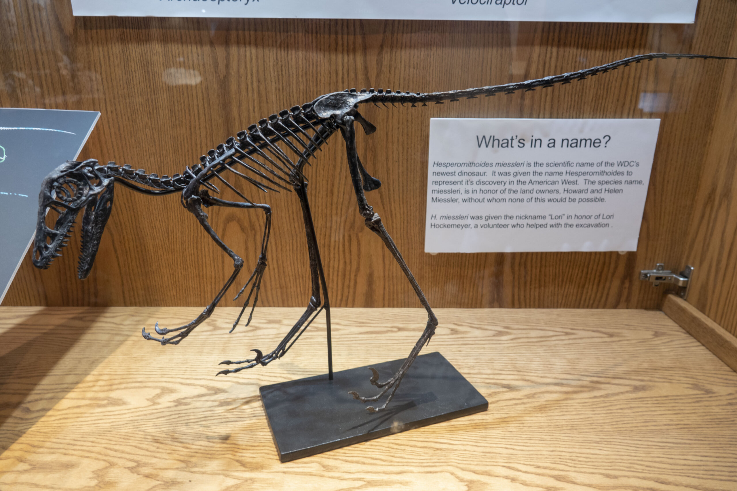 The Modern Discoveries: New Insights from Recent Research (image credits: By Strange Biology, CC BY 2.0, https://commons.wikimedia.org/w/index.php?curid=134255743)