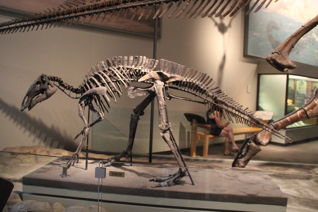 The Secret Advantages Hidden in Plain Sight (image credits: flickr)