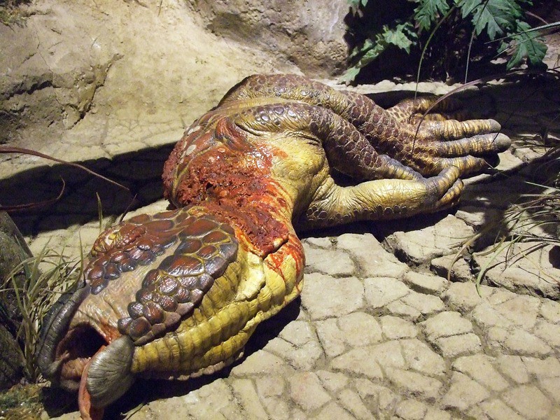 Mass Extinction on an Unprecedented Scale (image credits: flickr)