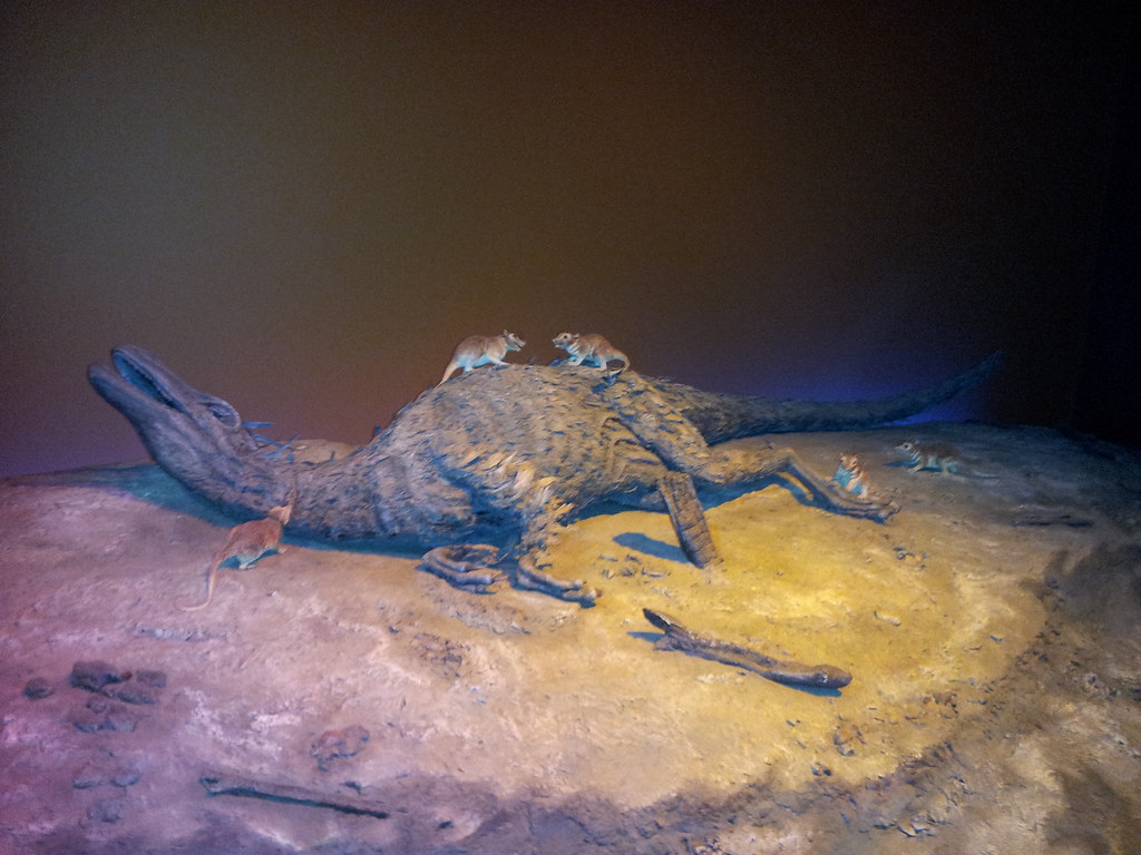 The Speed of Environmental Collapse (image credits: flickr)
