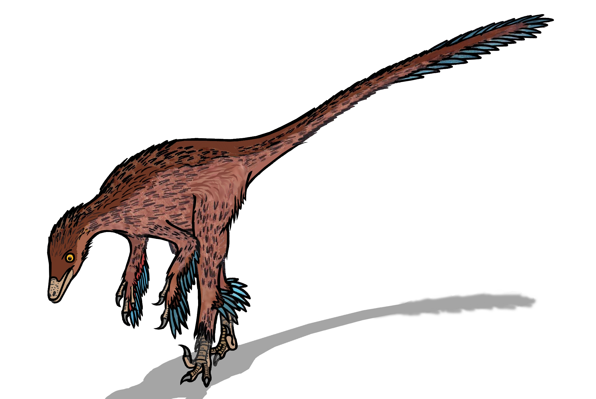 Troodon: The Dinosaur Einstein That Could Have Changed Everything (image credits: wikimedia)