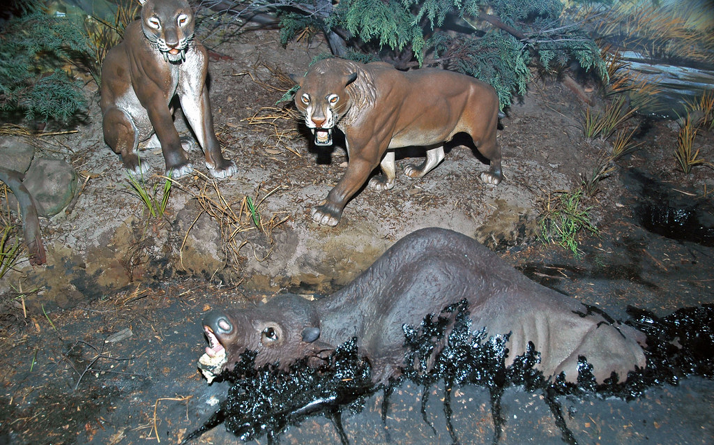 Rewilding: Bringing the Past into the Present (image credits: flickr)