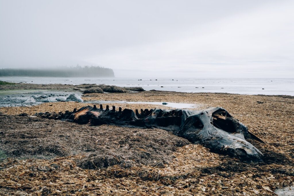 The Great Scientific Debate: Sixth Extinction or Crisis?