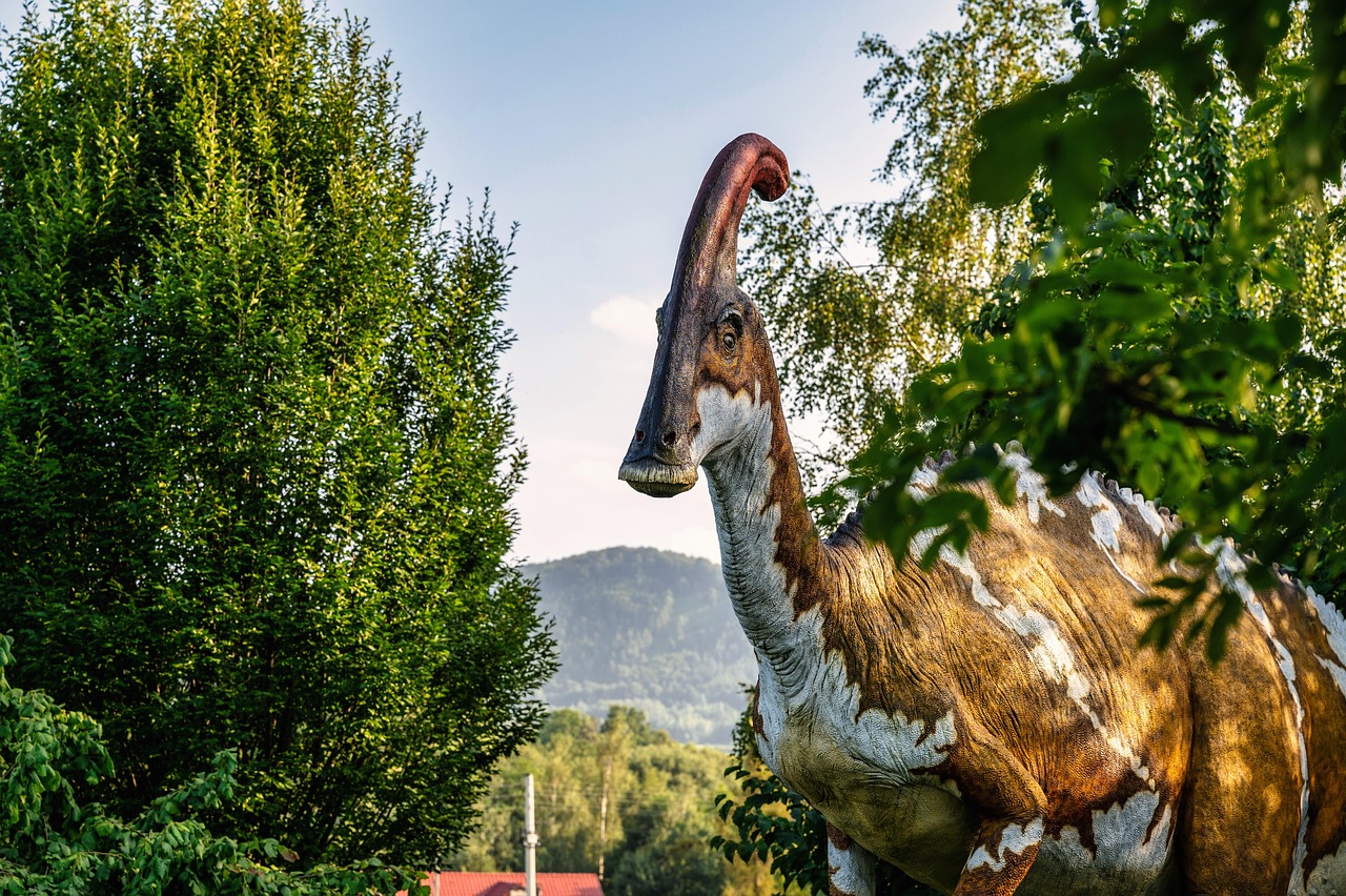 Conclusion (image credits: pixabay)