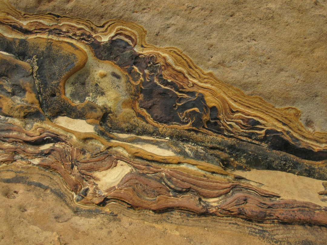 The Fossil Record's Stark Warning Signs (image credits: unsplash)