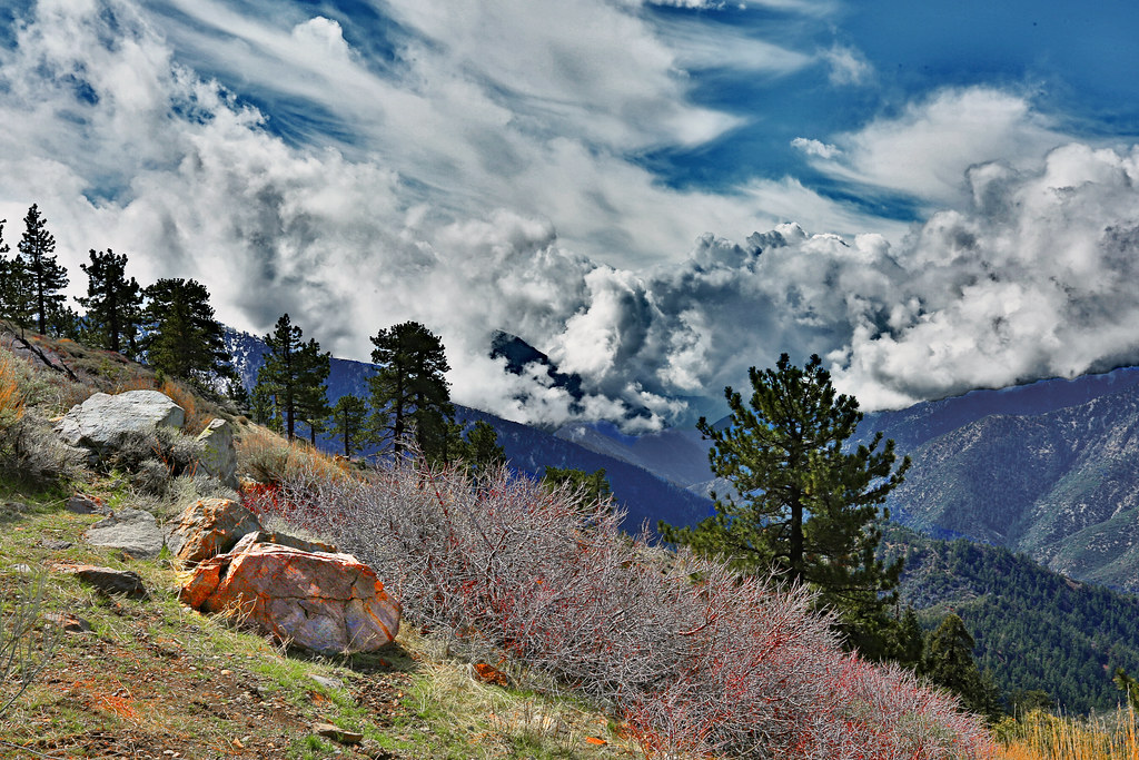 Climate Change as the Ultimate Game-Changer (image credits: flickr)