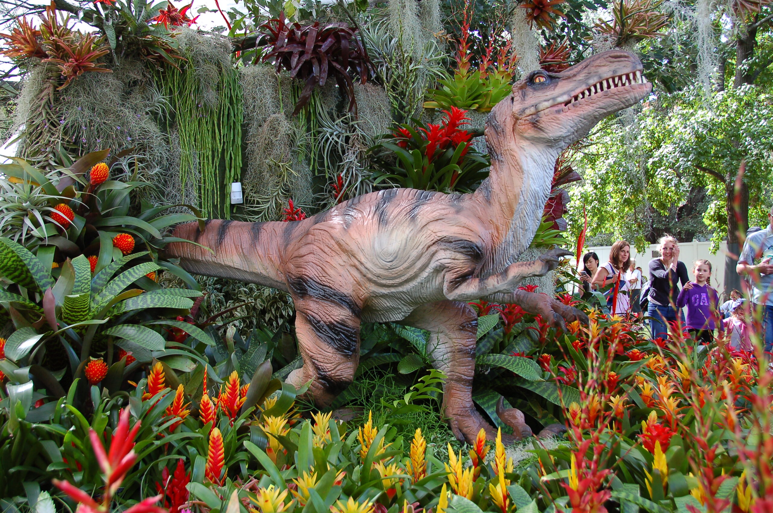 Did Dinosaurs Invent Flowers? The Bakker Hypothesis (image credits: wikimedia)