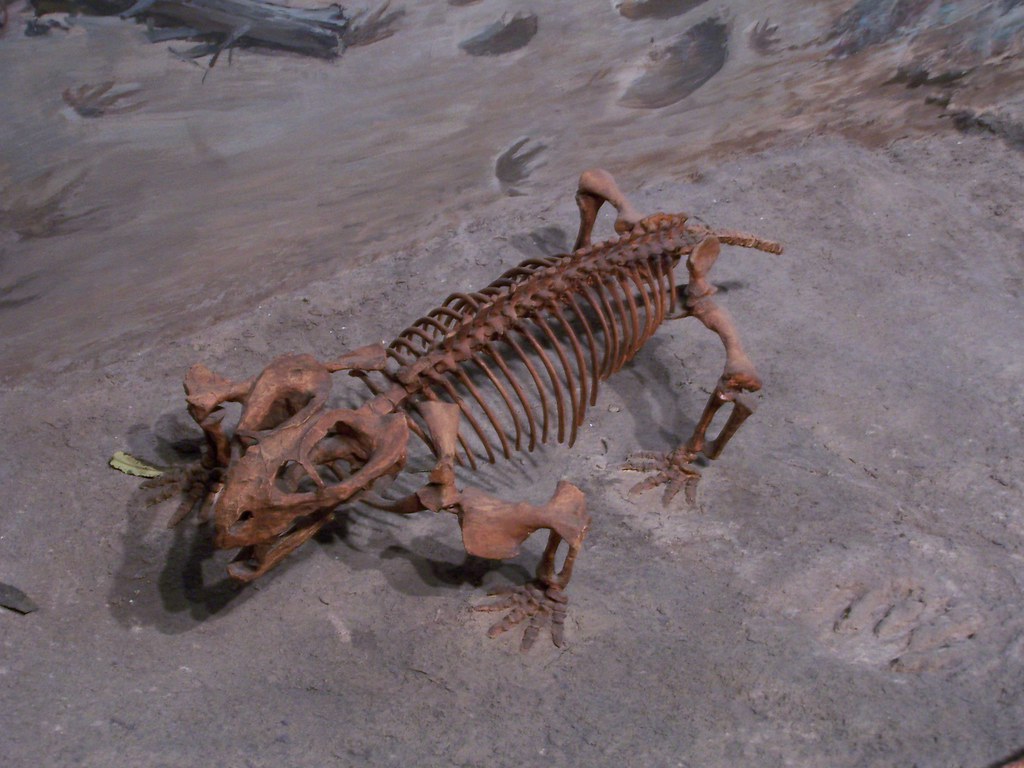 Survivors in a Broken World (image credits: flickr)