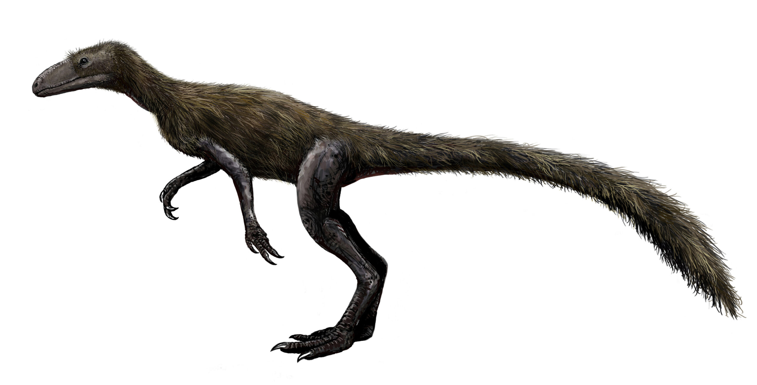 True Dinosaurs Make Their Debut (image credits: By FunkMonk (Michael B. H.), CC BY-SA 3.0, https://commons.wikimedia.org/w/index.php?curid=9387245)