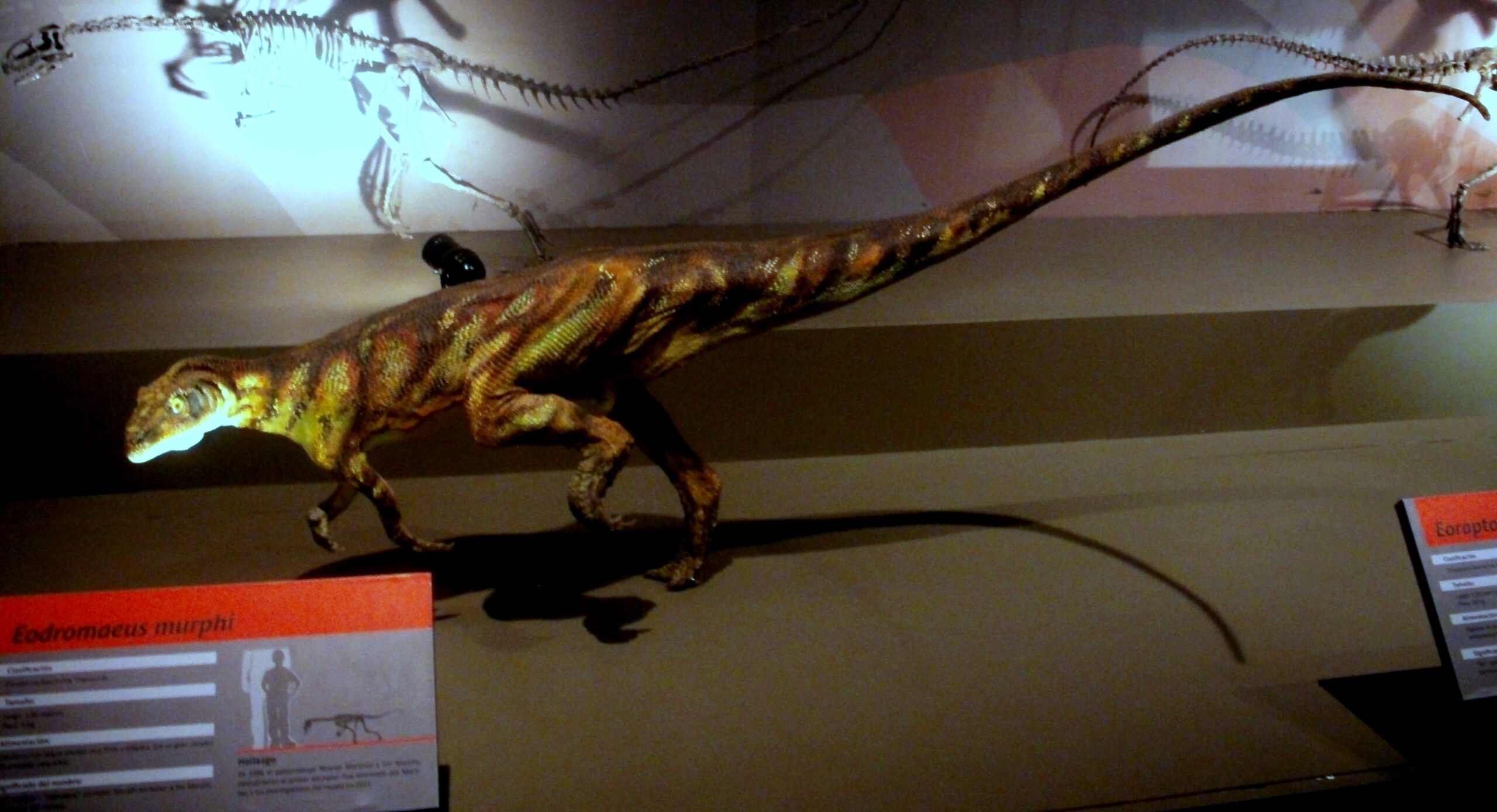 Early Dinosaur Diversity Emerges (image credits: By Gonce, CC BY-SA 4.0, https://commons.wikimedia.org/w/index.php?curid=57833734)