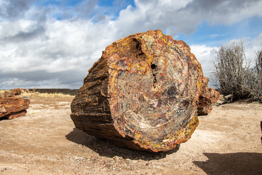 The Time Capsules Hidden in Stone (image credits: unsplash)