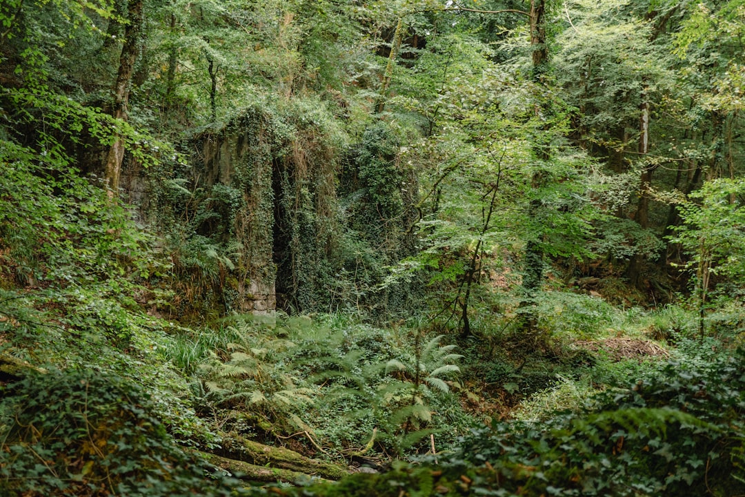 When Earth Was a Different Planet (image credits: unsplash)