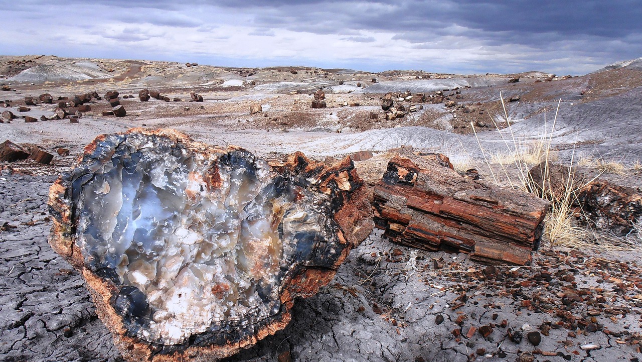 Global Witnesses to Ancient Climate (image credits: pixabay)