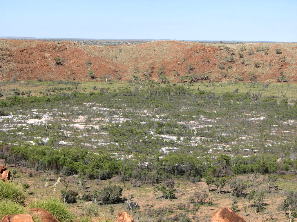 The European "Discovery"