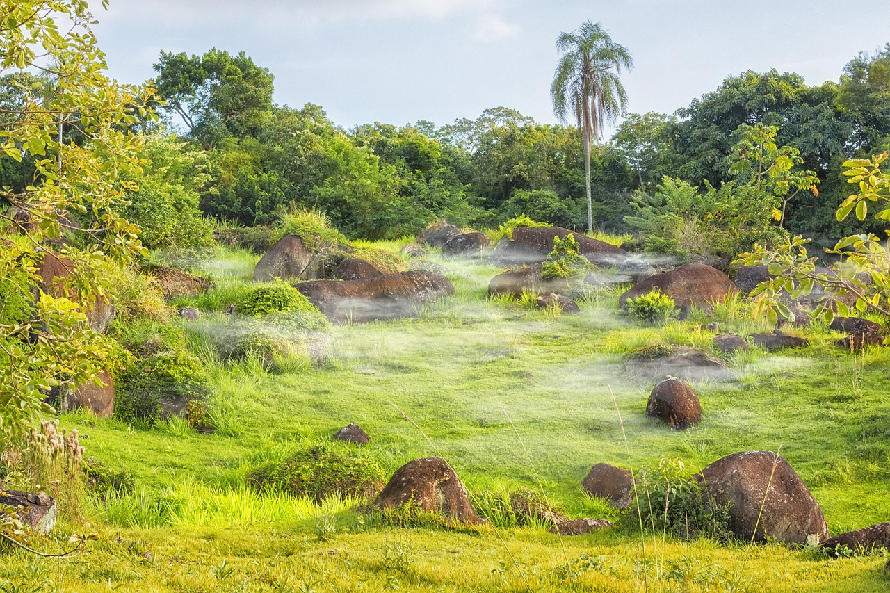 Plant Life's Green Revolution (image credits: pixabay)