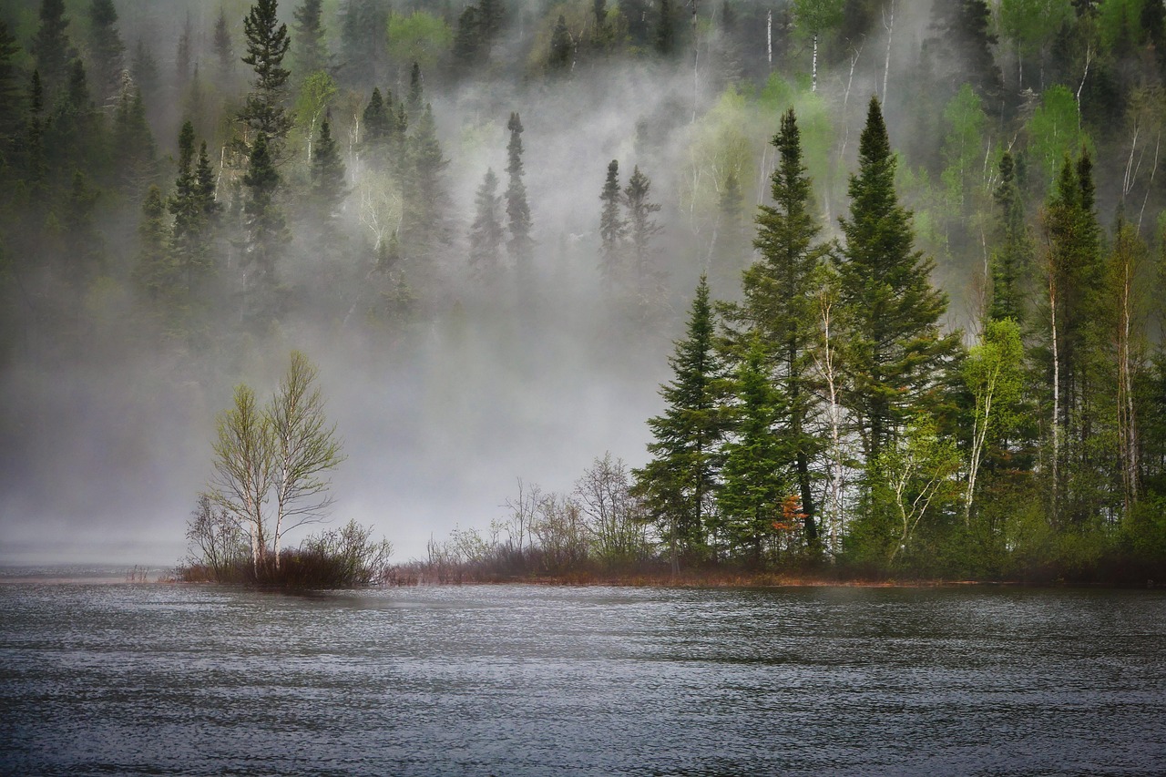 Setting the Stage for Modern Biodiversity (image credits: pixabay)