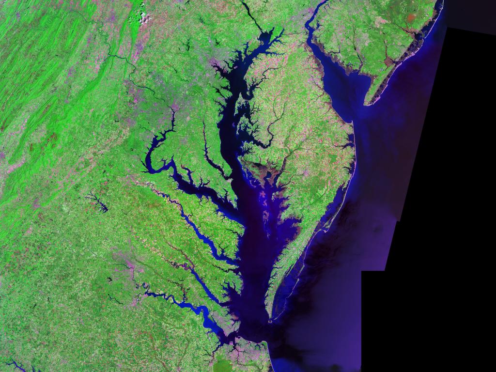 Chesapeake Bay Crater - America's Hidden Giant (image credits: Chesapeake Bay Crater. Source: Wikimedia Commons)