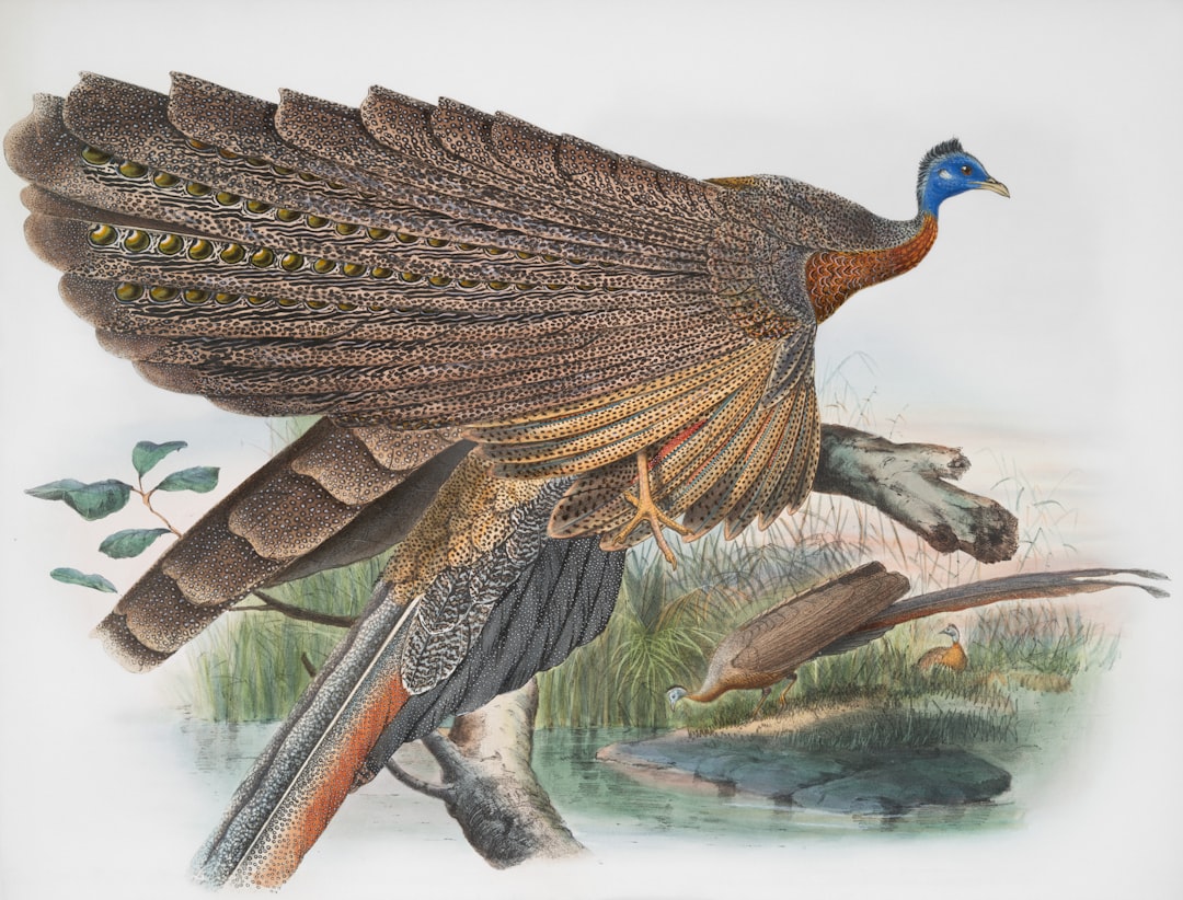 Feathers Were Originally Dinosaur Fashion Statements, Not Flight Tools (image credits: unsplash)