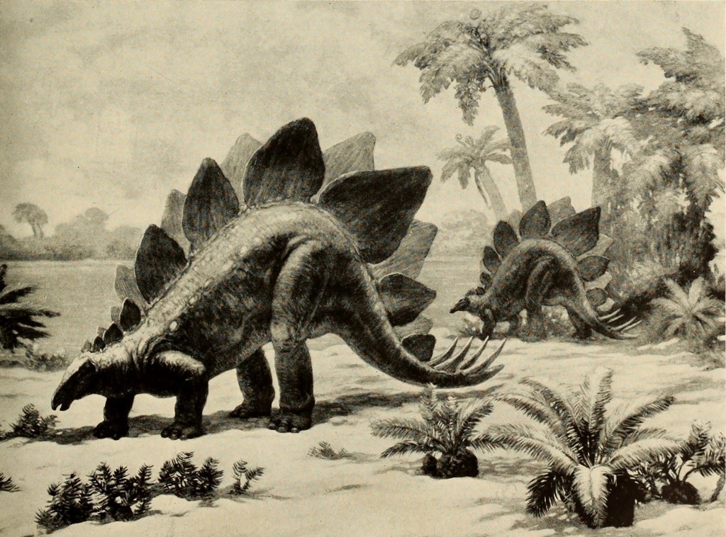 Prey Animals Adapt: New Defenses for New Threats (image credits: rawpixel)