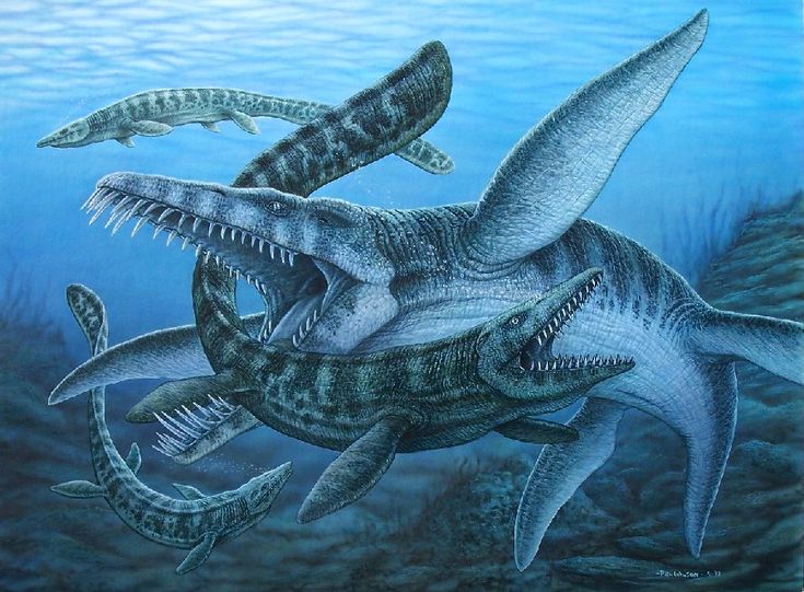 The Terror of Deep Waters: Liopleurodon ferox