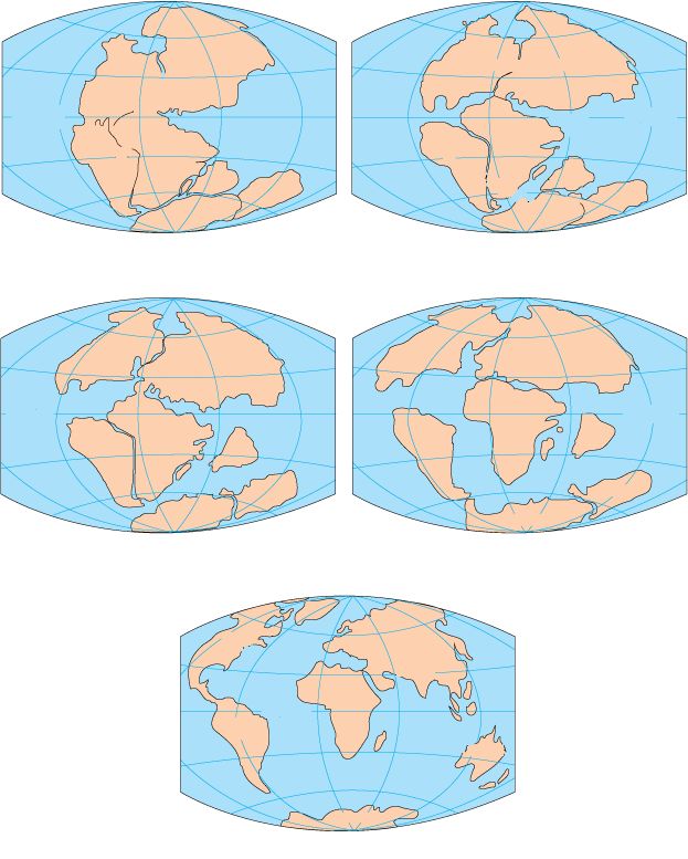 The Great Continental Split That Started It All (image credits: wikimedia)
