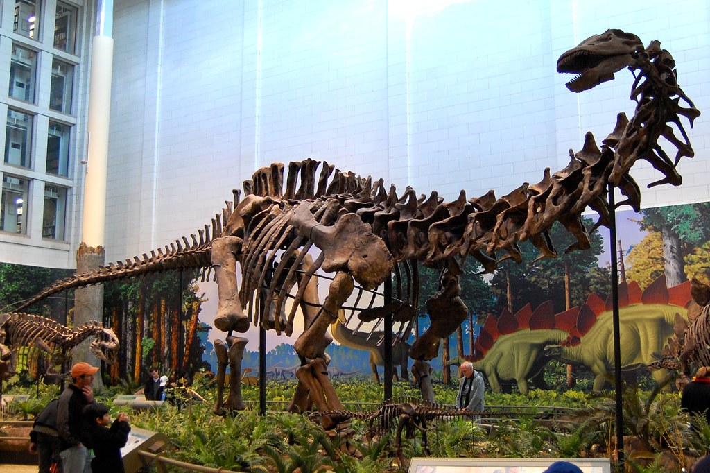Sauropod Dinosaurs Had Seasonal Migration Routes (image credits: flickr)