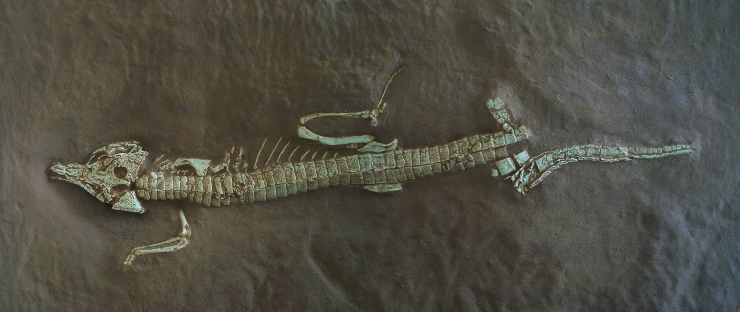 The Great Dying of the Archosaurs (image credits: By Smokeybjb, CC BY-SA 3.0, https://commons.wikimedia.org/w/index.php?curid=20742893)