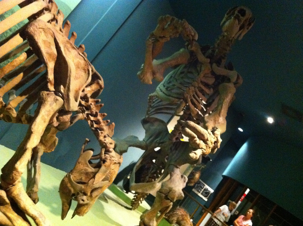 The Body Size Explosion (image credits: flickr)