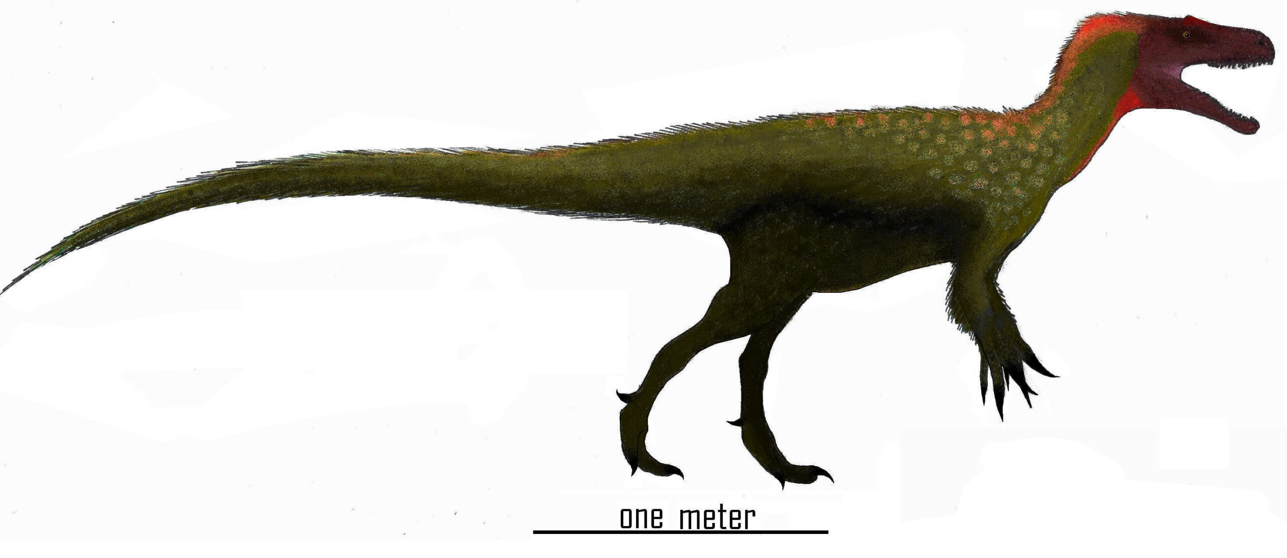 Marshosaurus: The Forgotten Assassin (image credits: wikimedia)