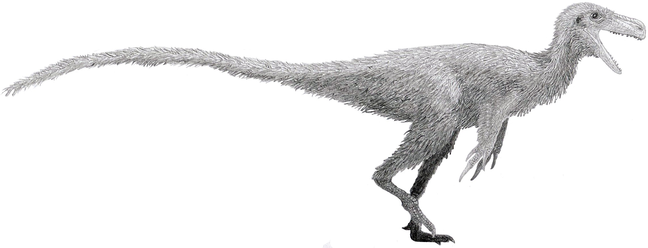 Stokesosaurus: The Tiny Tyrant Ancestor (image credits: wikimedia)