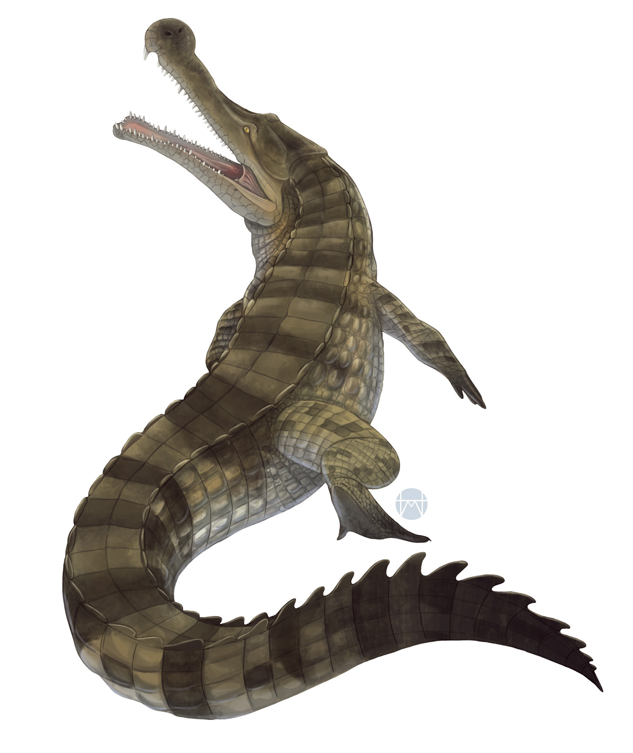 Sarcosuchus - The SuperCroc That Crushed Everything (image credits: wikimedia)