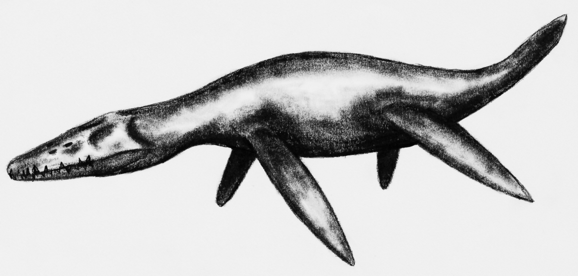Pliosaurus funkei -