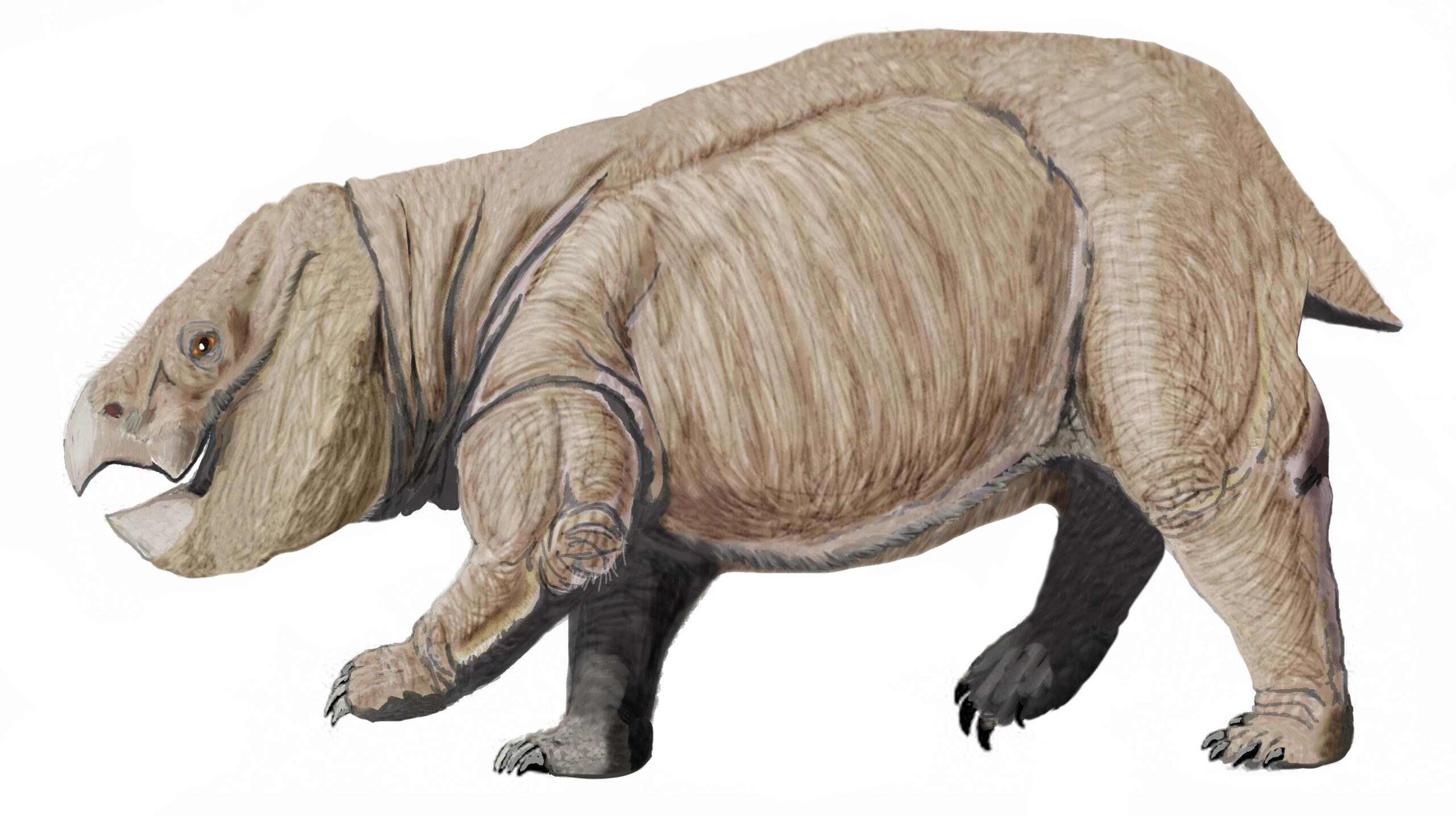 Giant Synapsids That Defied Expectations (image credits: wikimedia)