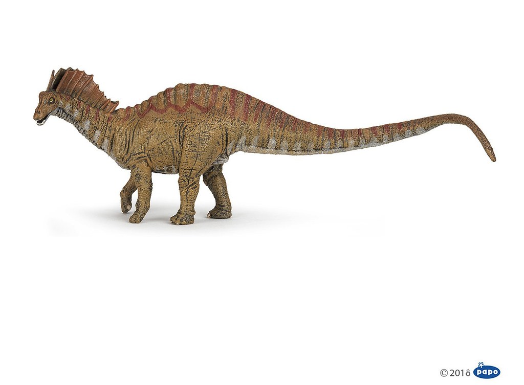 Amargasaurus: The Punk Rock Dinosaur (image credits: flickr)