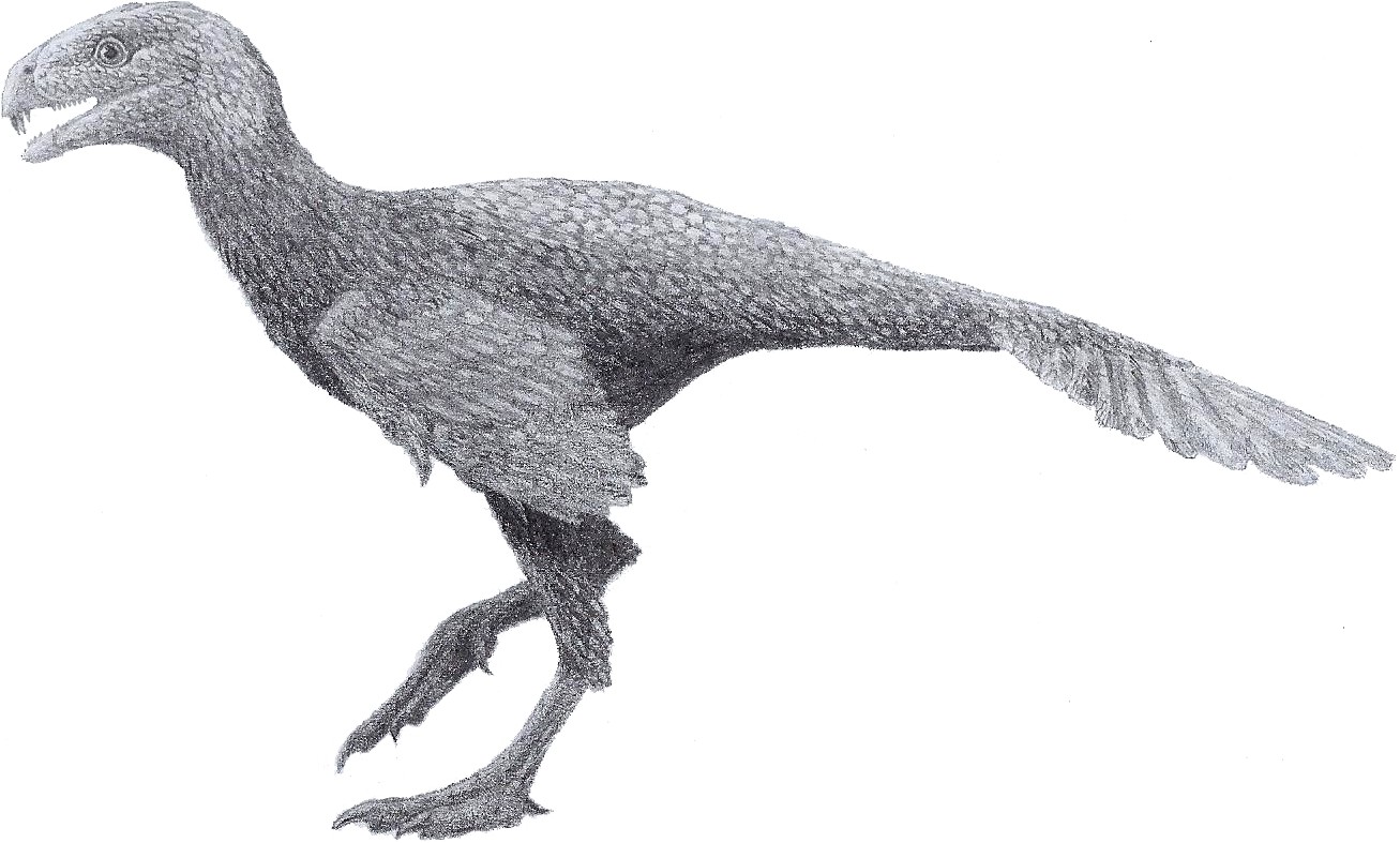 Incisivosaurus: The Buck-Toothed Beast (image credits: wikimedia)