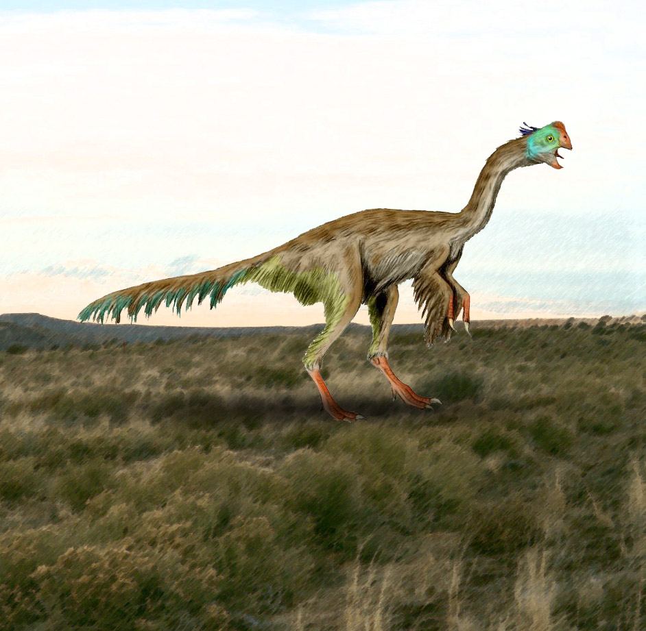 Gigantoraptor: The Gentle Giant Raptor (image credits: wikimedia)