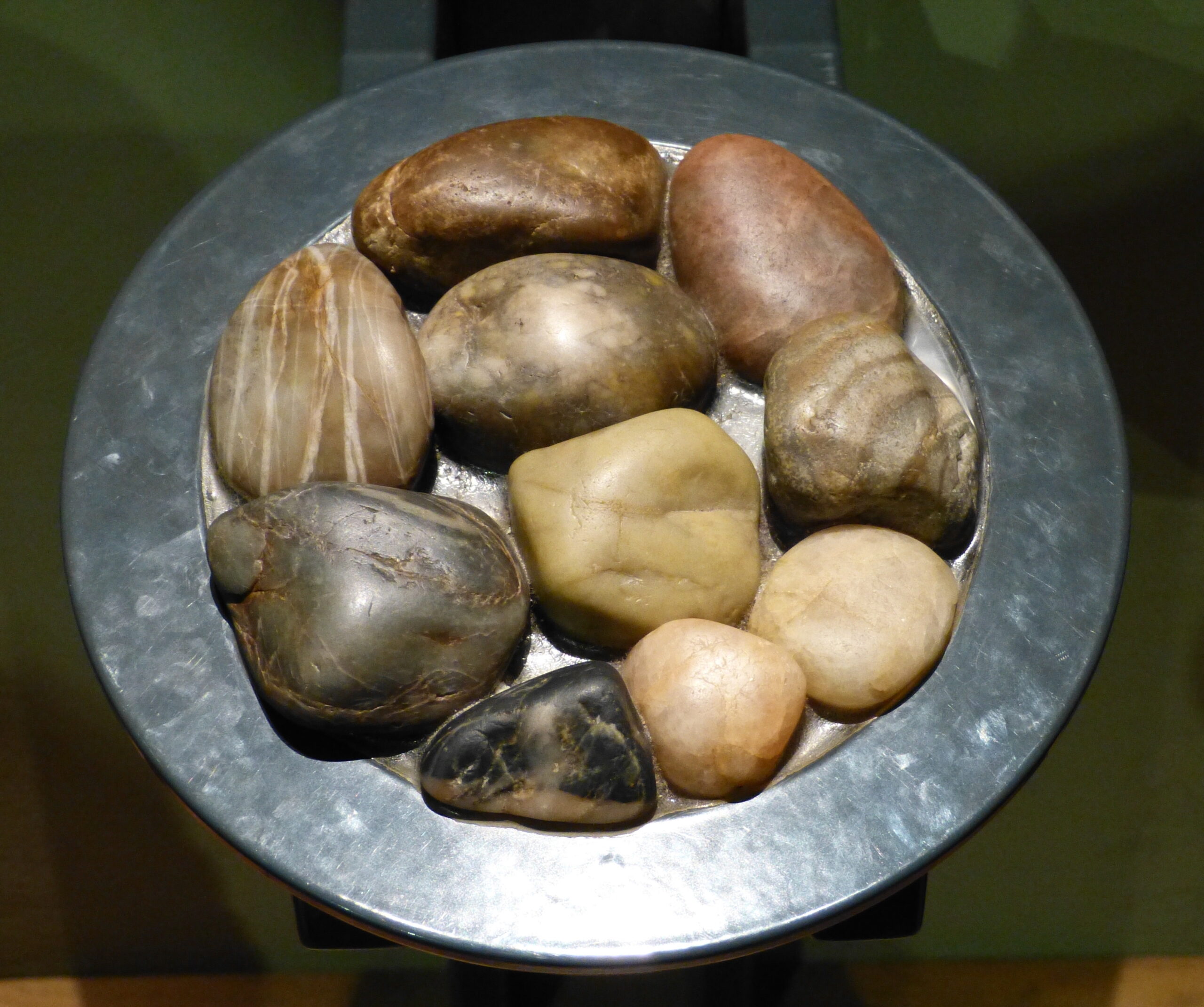 The Great Stone Mystery: How Scientists First Discovered Gastroliths (image credits: wikimedia)