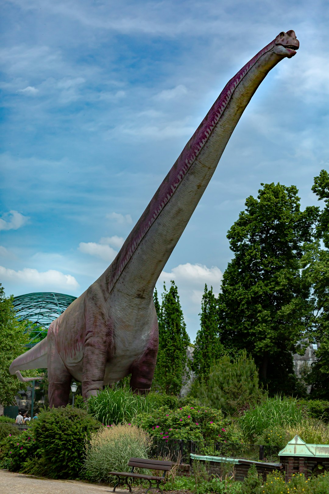 Cedarosaurus: The Most Famous Gastrolith Discovery (image credits: unsplash)