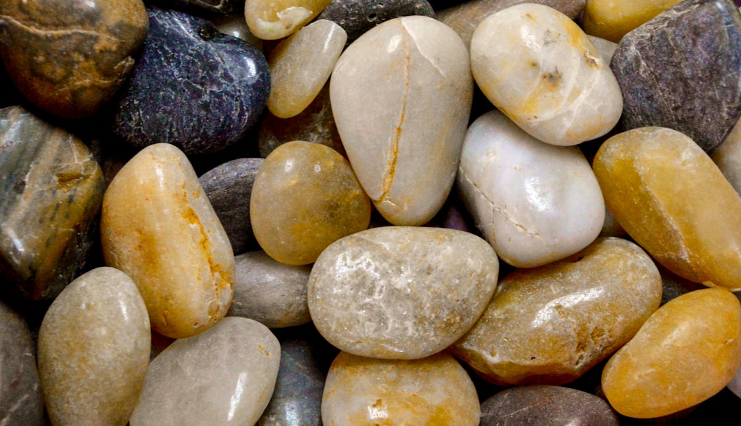 The Detective Work: How Scientists Identify True Gastroliths (image credits: unsplash)