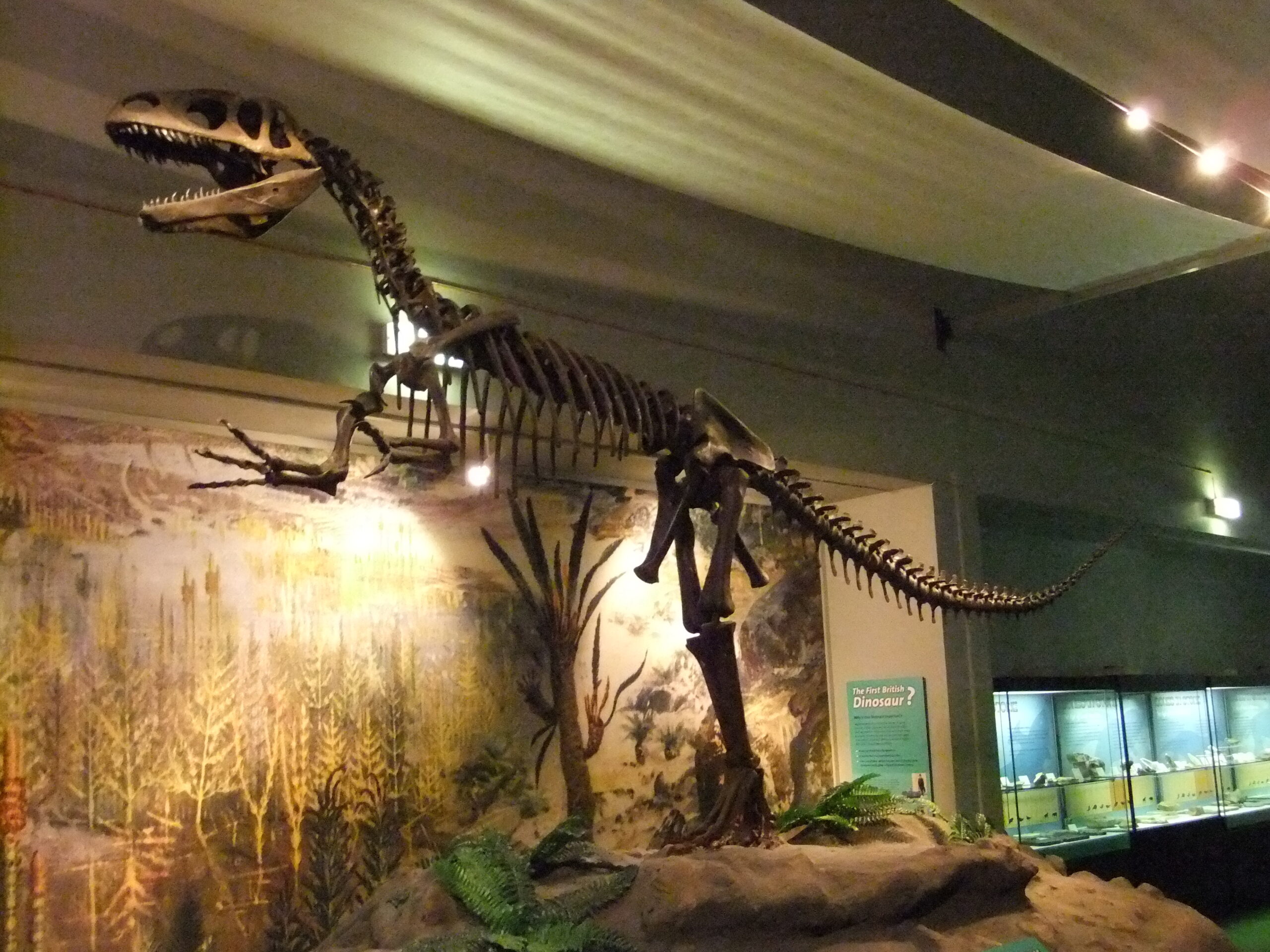 The First Dinosaur - William Buckland's Megalosaurus (image credits: wikimedia)