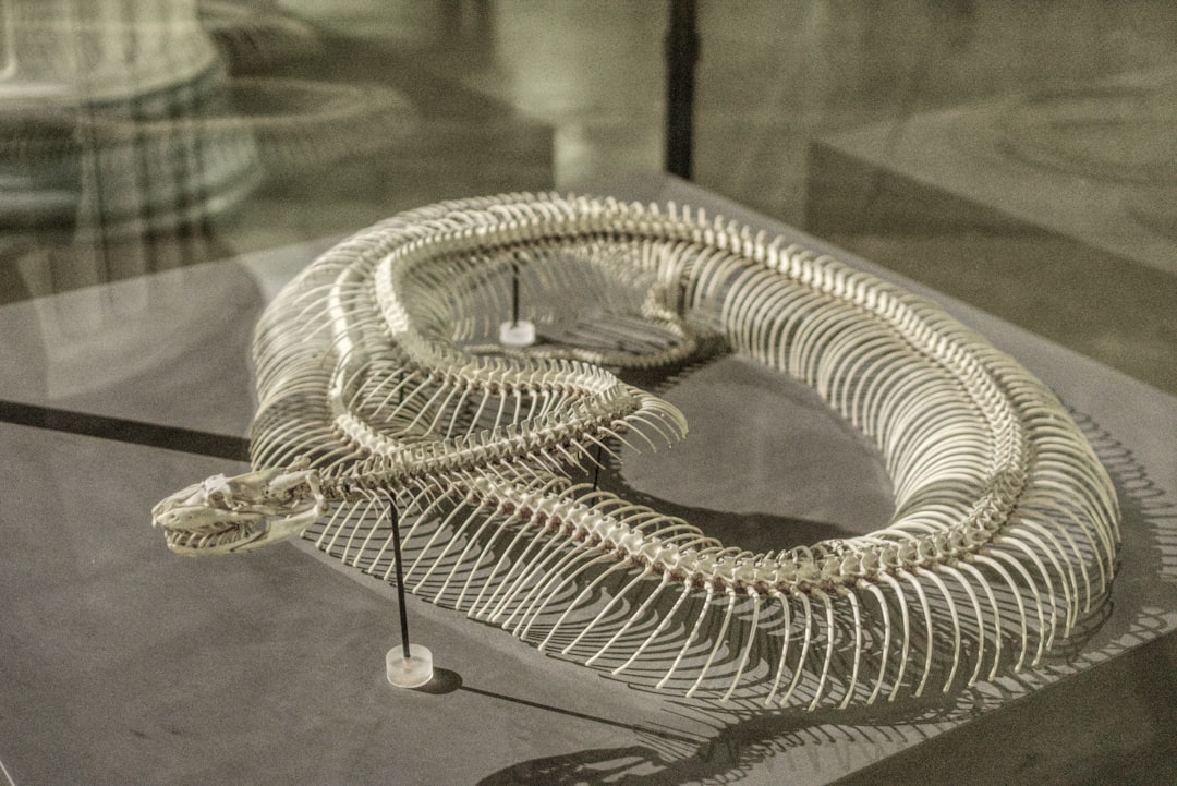 Size Beyond Imagination: The Numbers That Stunned Scientists (image credits: unsplash)