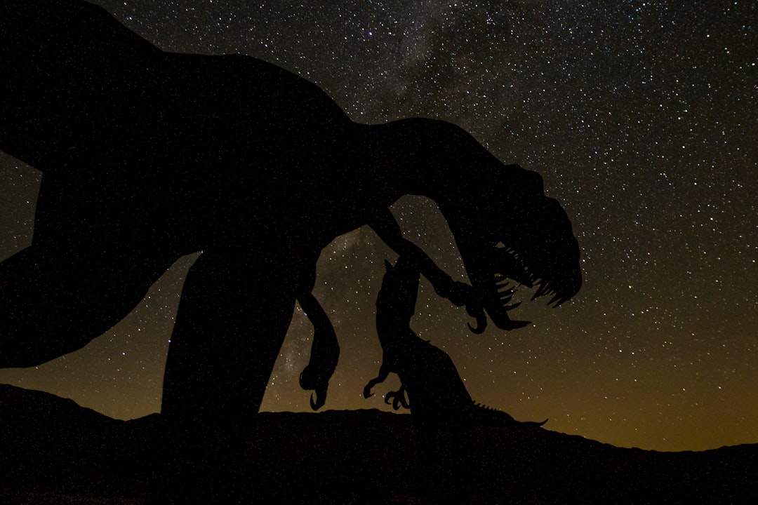 The Dark Side of Polar Living (image credits: unsplash)