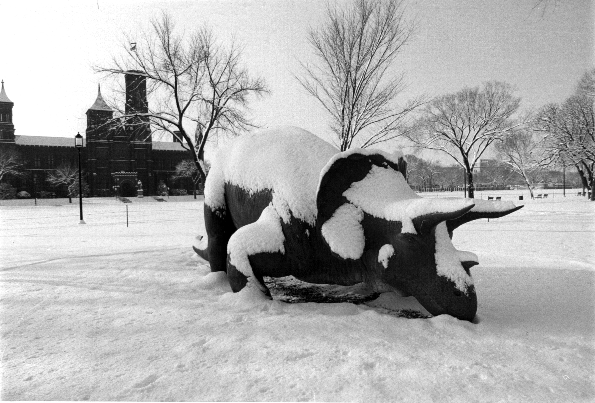 The Ultimate Climate Survivors (image credits: wikimedia)