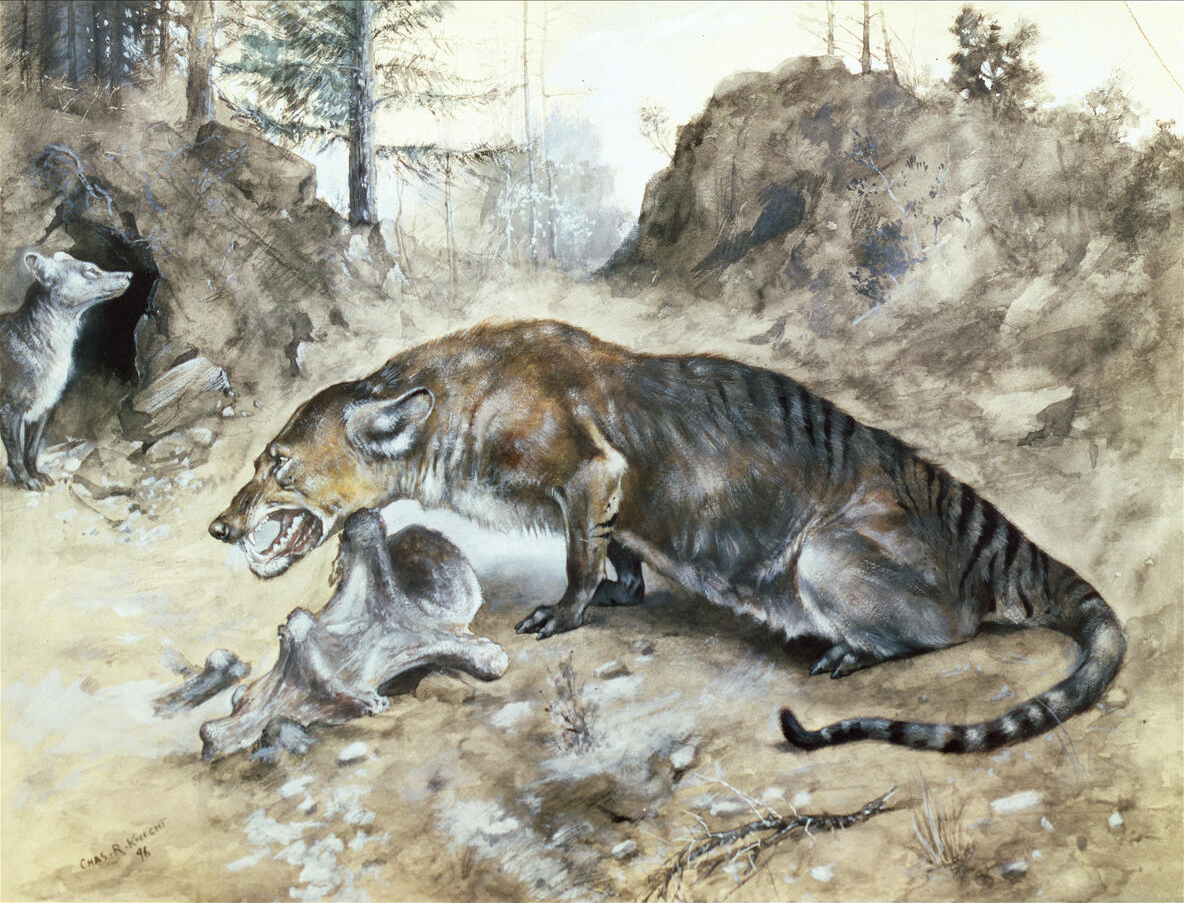 The Paleocene Explosion (image credits: By Charles Robert Knight, Public domain, https://commons.wikimedia.org/w/index.php?curid=935283)